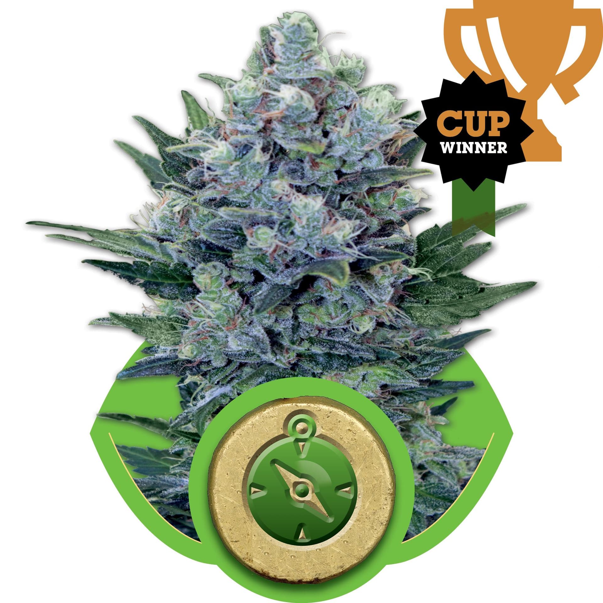 Northern Light Auto Feminised Seeds