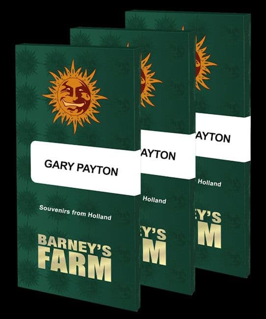 Gary Payton Feminized Seeds