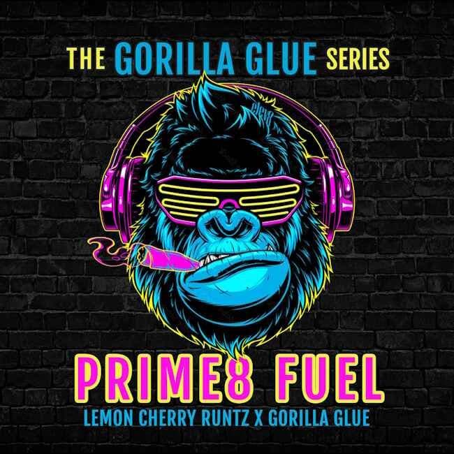 Prime8 Fuel Feminised Seeds