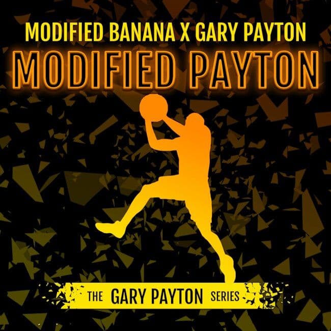 Modified Payton Feminised Seeds