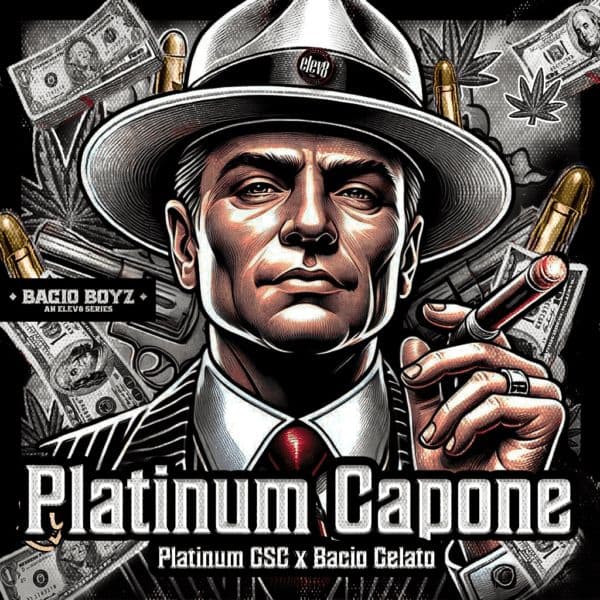Platinum Capone Feminized Seeds