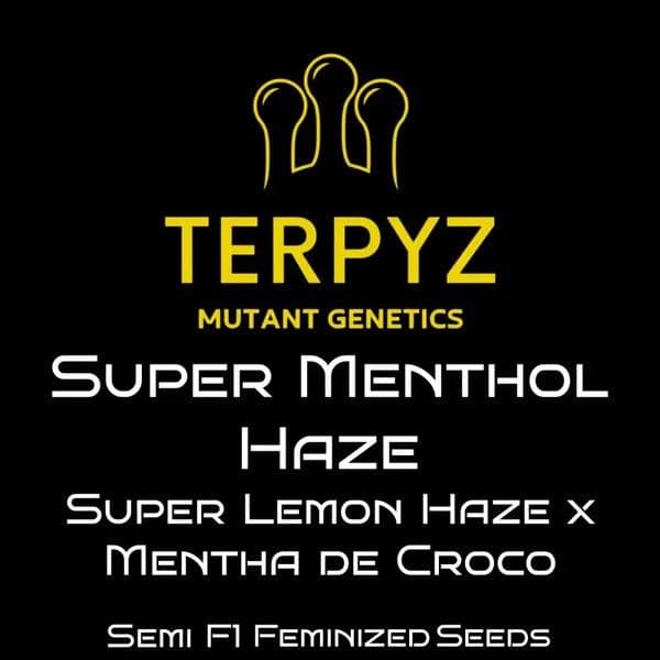 Super Menthol Haze Feminized Seeds