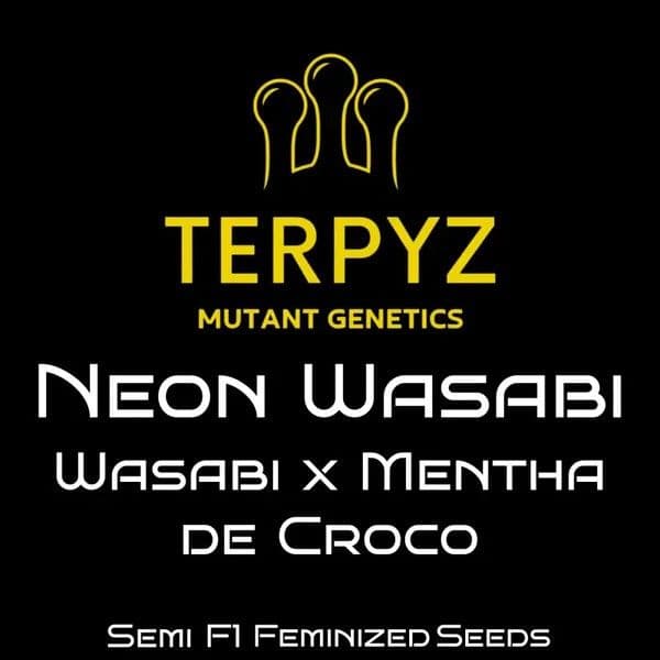 Neon Wasabi Feminized Seeds