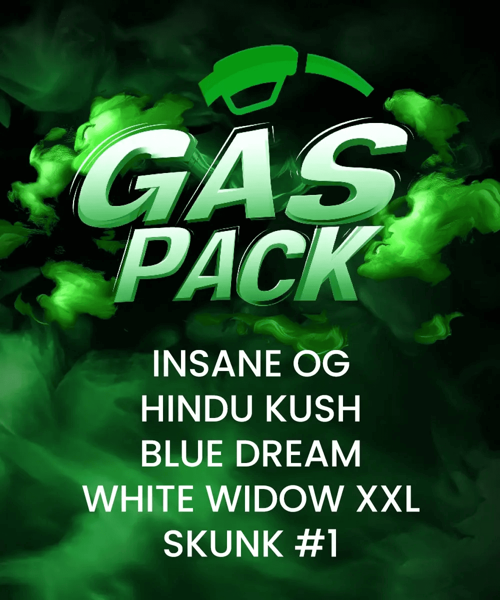 Gas Pack Bundle Feminized Seeds