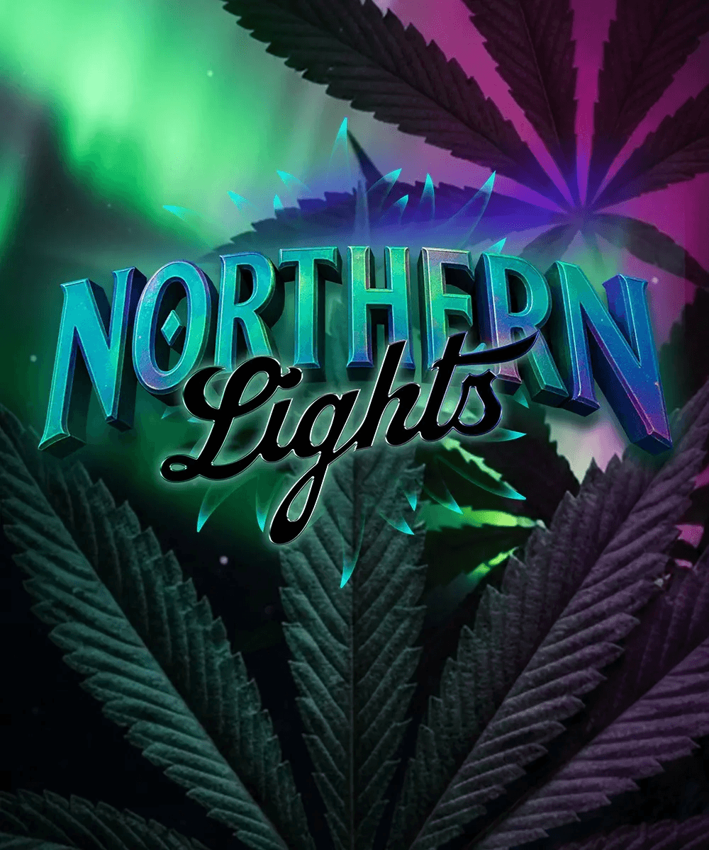 Northern Lights Feminized Seeds