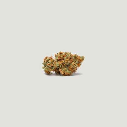 Pomegranate Lime Auto Feminized Seeds