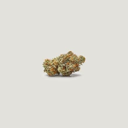 NorCal Sour Z Feminized Seeds