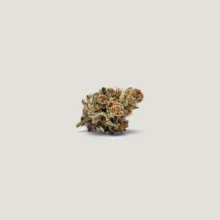 Lemon Cherry Tarts Feminized Seeds