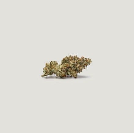 Key Lime Tart Feminized Seeds