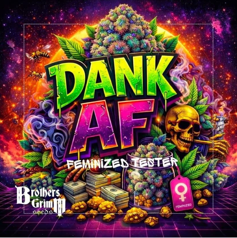 Dank AF Feminized Seeds